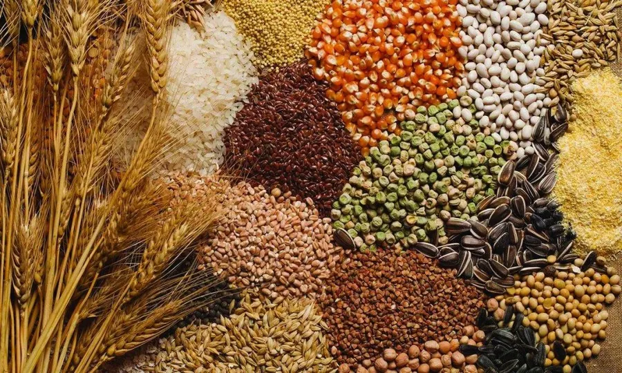 تشكيلة من الحبوب والبذور